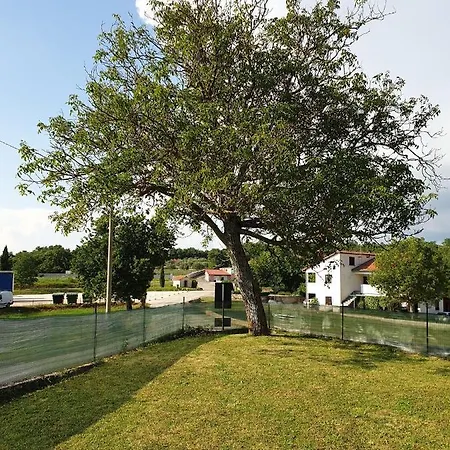 House Liberat Basici